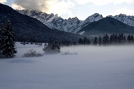 Snowy landscape 